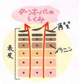 ���̃^�[���I�[�o�[